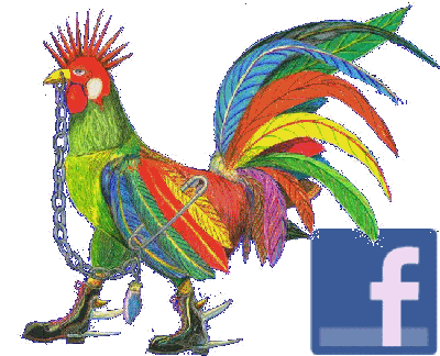 KOCK.rocks Facebook Page.  Punky Rooster has his own page for the KOCK.  